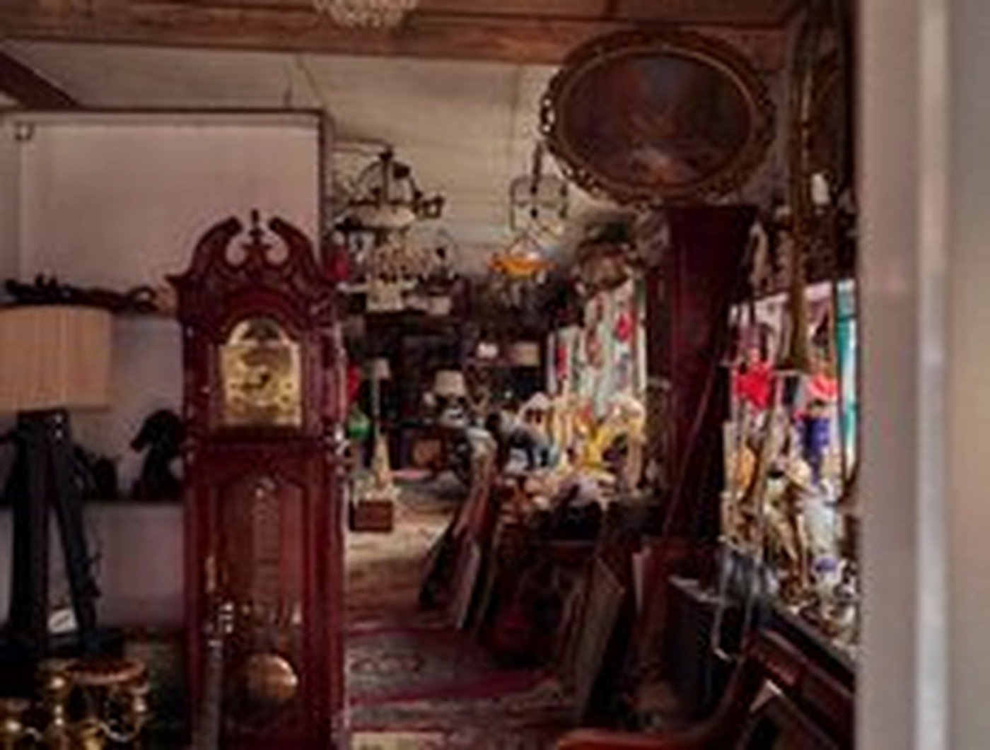 Cabinet of Curiosities 02