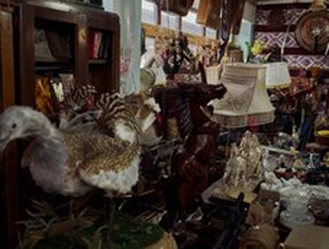 Cabinet of Curiosities 06