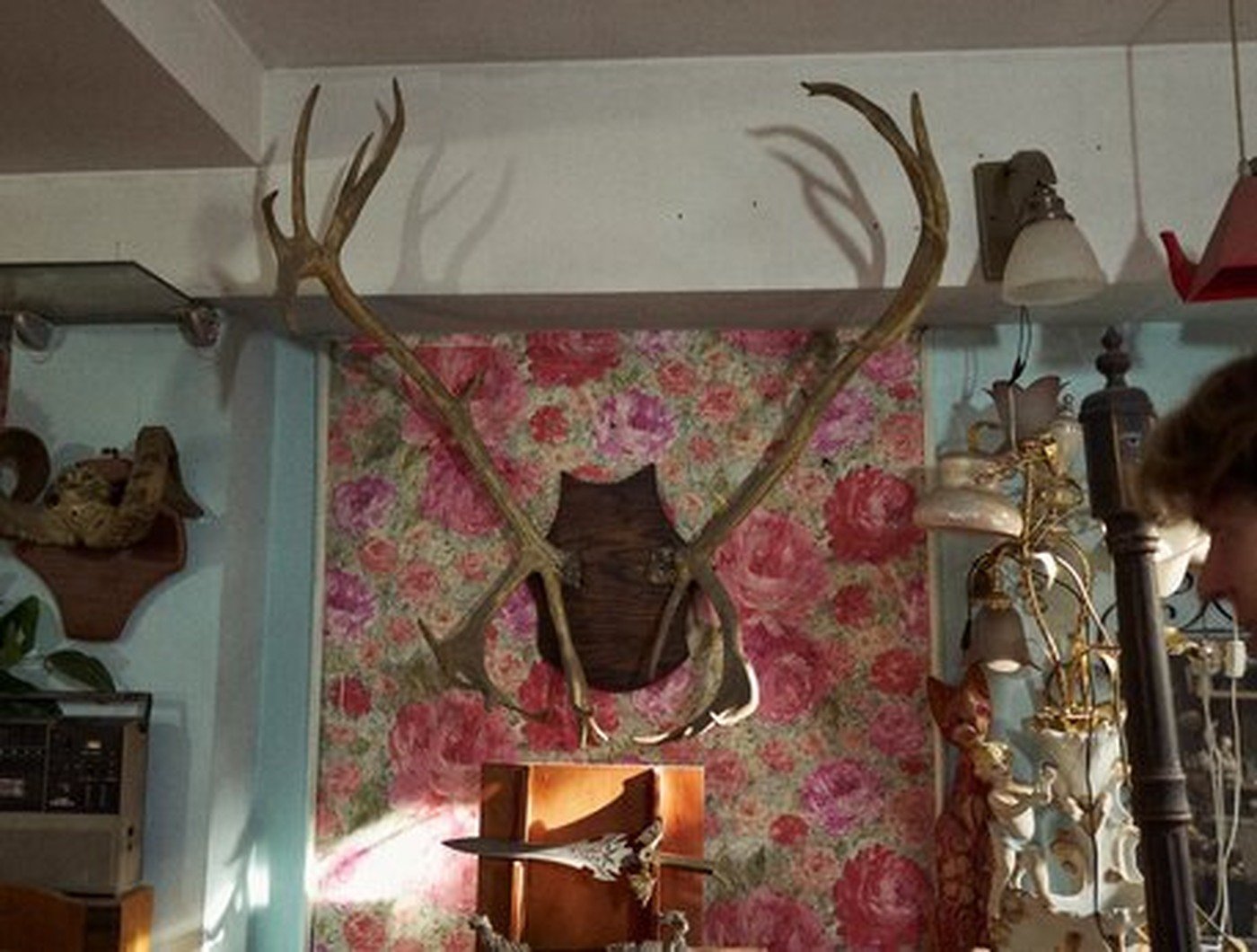 Cabinet of Curiosities 08