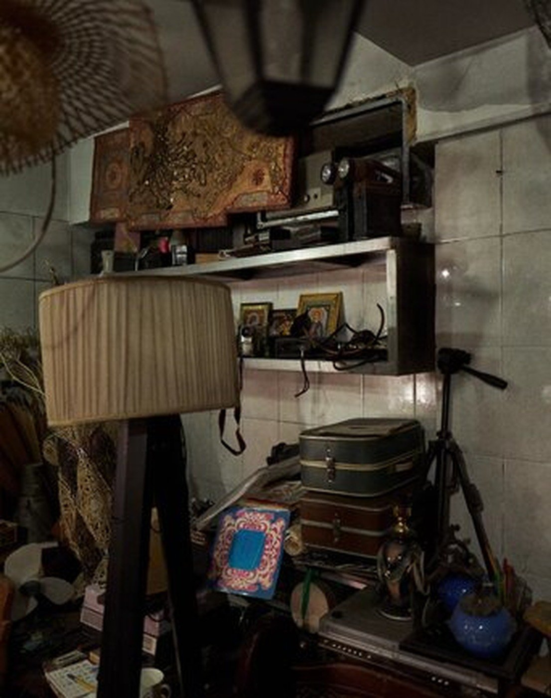 Cabinet of Curiosities 18