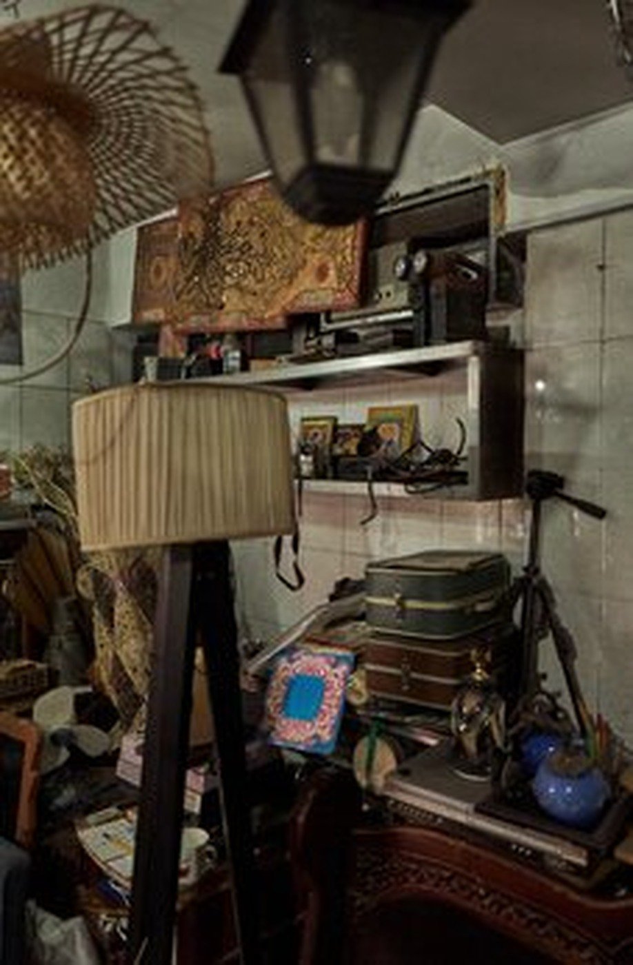 Cabinet of Curiosities 19