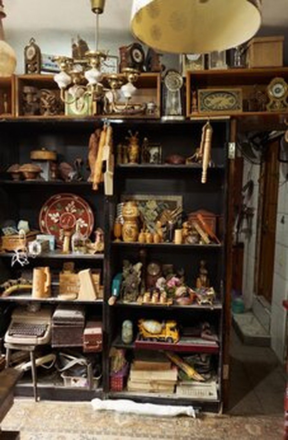 Cabinet of Curiosities 23