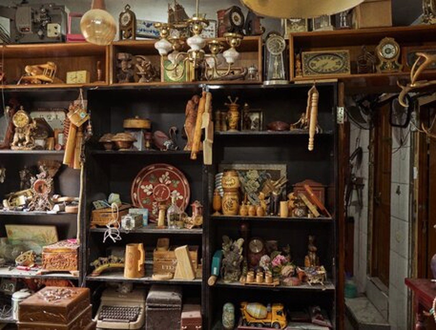 Cabinet of Curiosities 24