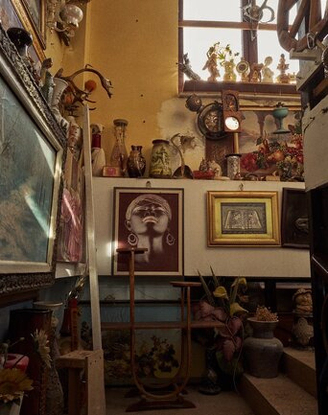 Cabinet of Curiosities 27