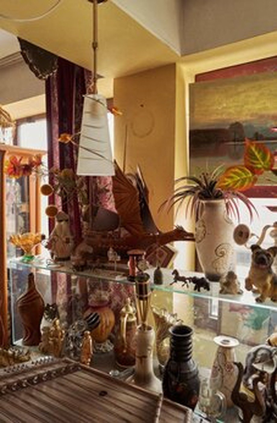 Cabinet of Curiosities 36