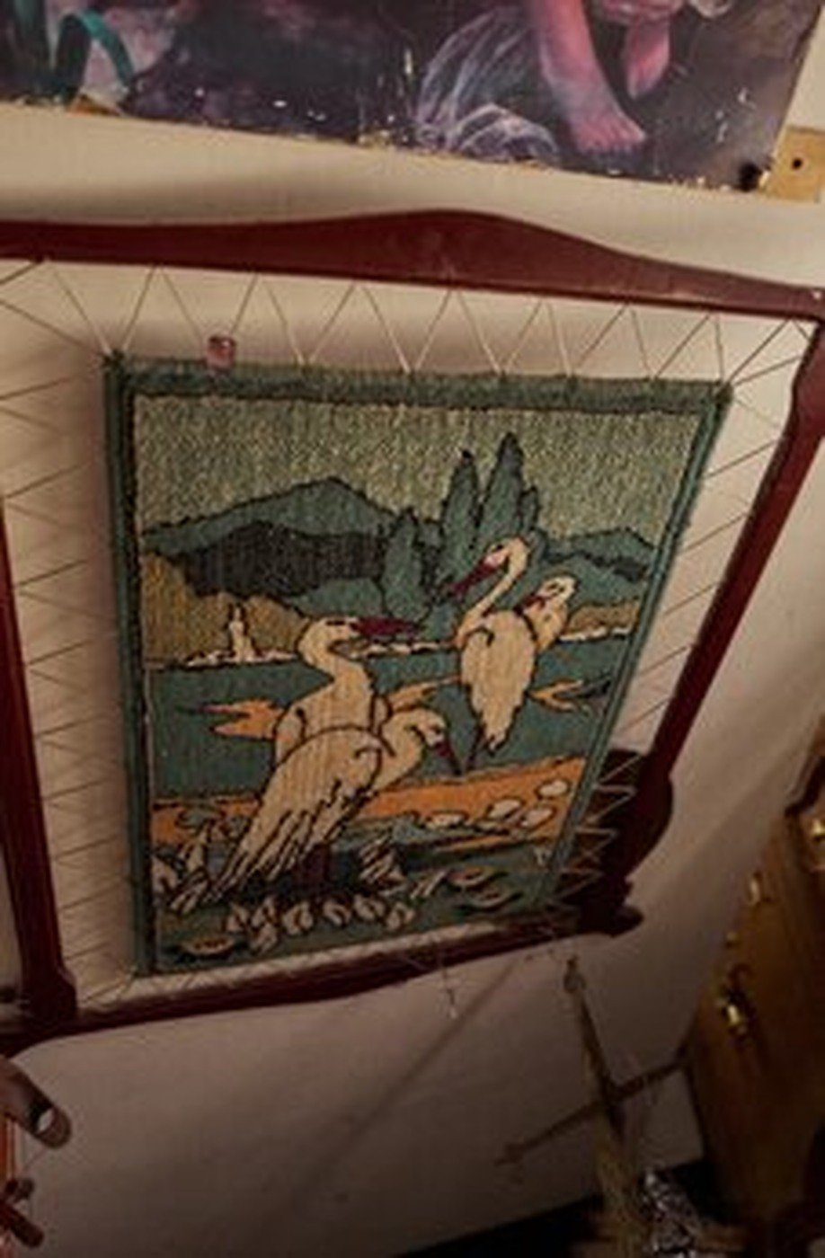 Cabinet of Curiosities 42