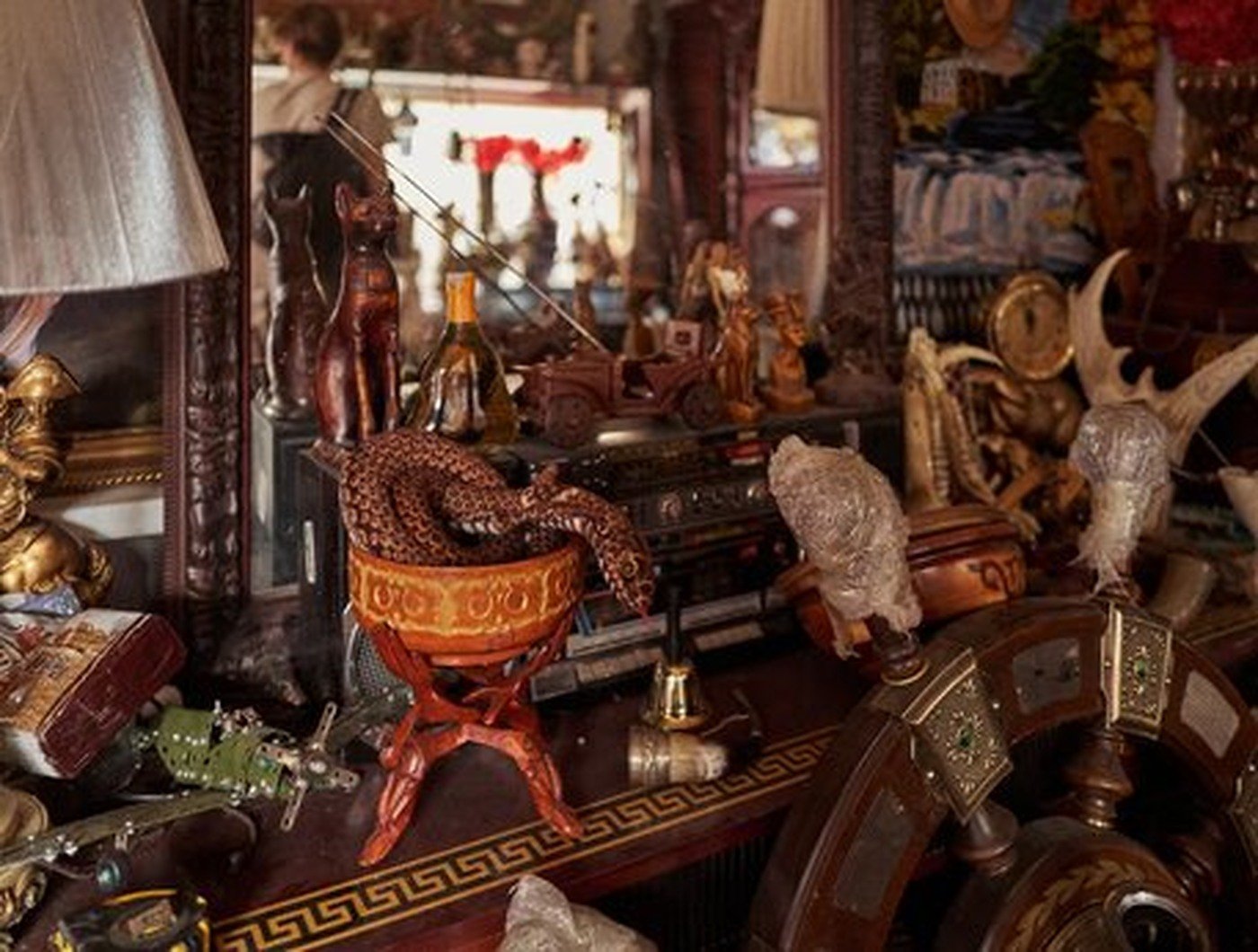 Cabinet of Curiosities 43