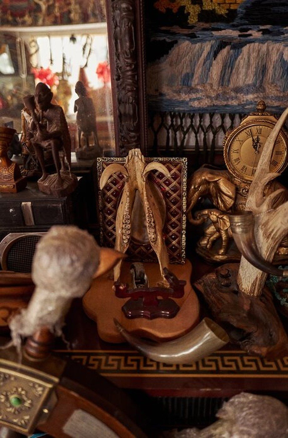Cabinet of Curiosities 44