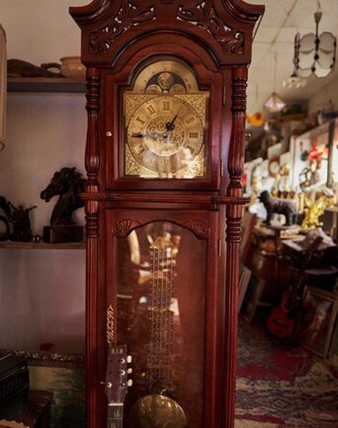 Cabinet of Curiosities 48
