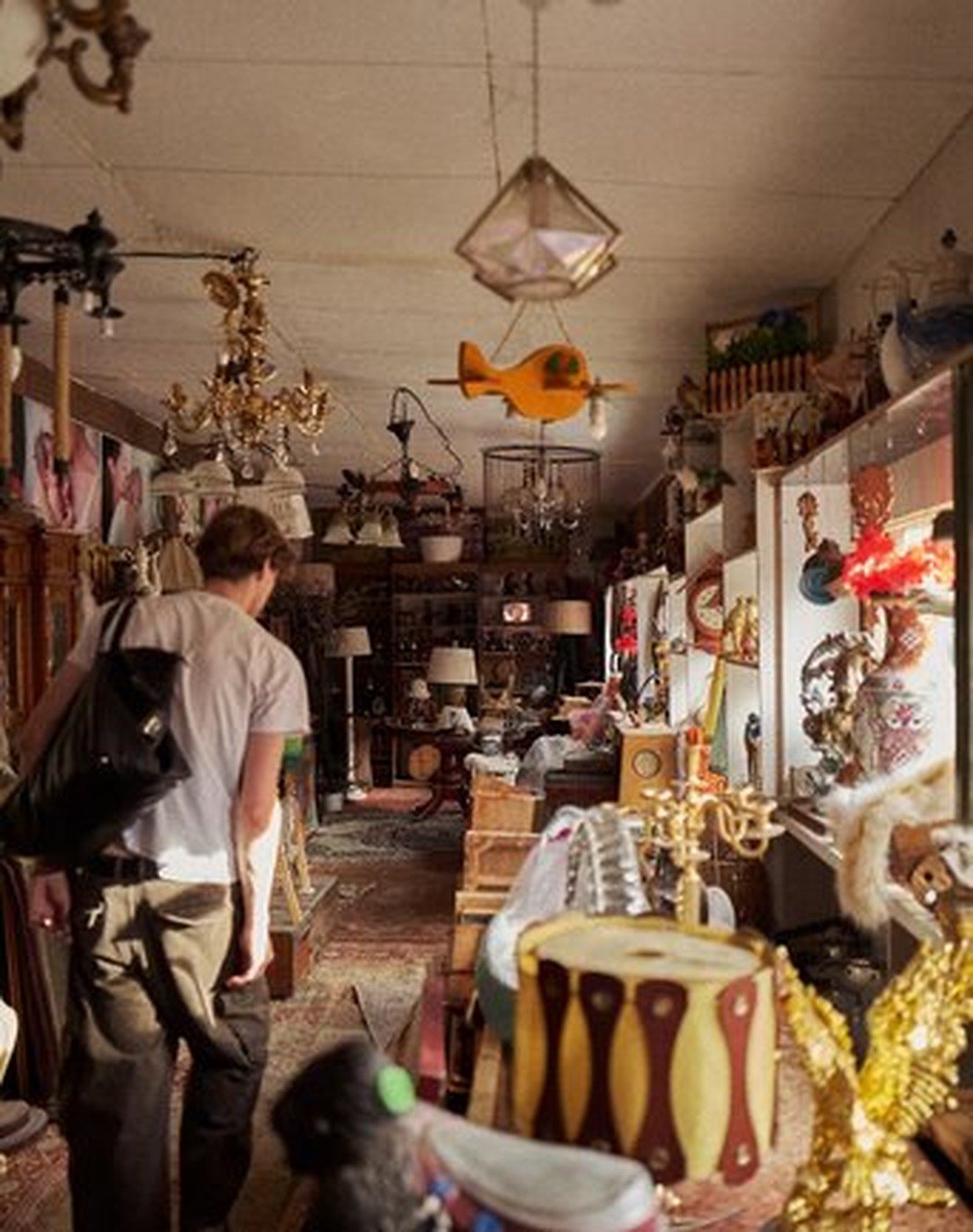 Cabinet of Curiosities 49