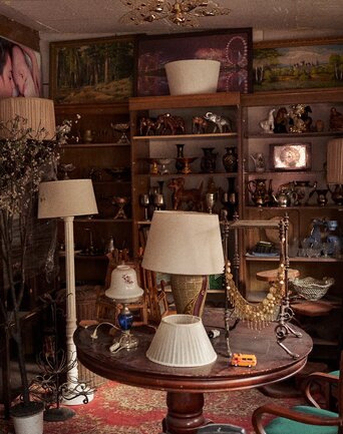 Cabinet of Curiosities 52