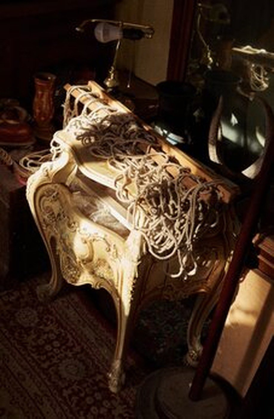 Cabinet of Curiosities 55