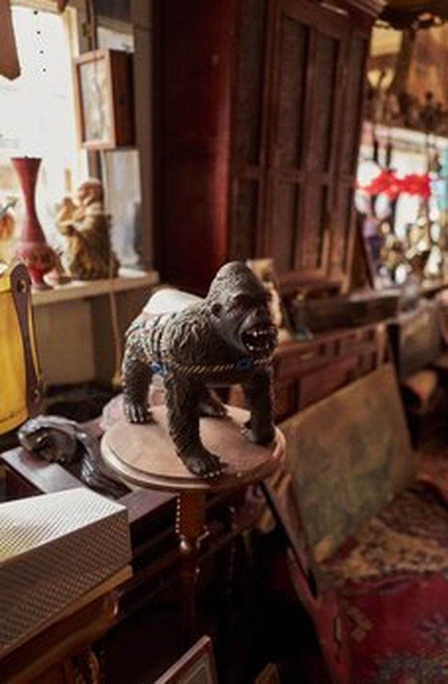 Cabinet of Curiosities 56